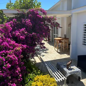 Gasthof Il Platano Di Nathaly, Bari